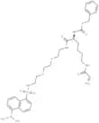 NC9 TG2 inhibitor