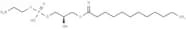 1-Dodecanoyl-sn-glycerophosphoethanolamine