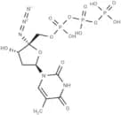 4'-Azidothymidine 5'-triphosphate