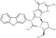 Acetylaminofluorene-dG