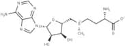 Ademetionine, (S)-