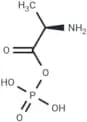 Alanylphosphate