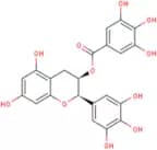 (-)-Epigallocatechin Gallate