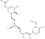 Ambruticin
