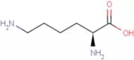 L-Lysine