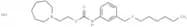 Carbanilic acid, m-((hexyloxy)methyl)-, 2-(hexahydro-1H-azepin-1-yl)ethyl ester, hydrochloride