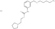 Carbanilic acid, m-((pentyloxy)methyl)-, 2-(1-pyrrolidinyl)ethyl ester, hydrochloride