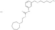 Carbanilic acid, m-((pentyloxy)methyl)-, 2-(hexahydro-1H-azepin-1-yl)ethyl ester, hydrochloride