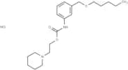 Carbanilic acid, m-((pentyloxy)methyl)-, 2-piperidinoethyl ester, hydrochloride