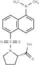 Dansylproline