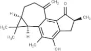 Jatropholone A