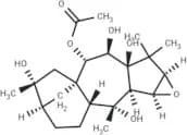 Lyoniol-A