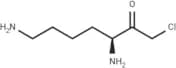 Lysine chloromethyl ketone