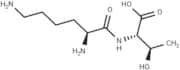 Lysyl threonine
