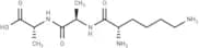 Lysyl-alanyl-alanine