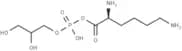 Lysylphosphatidylglycerol