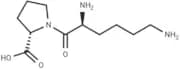 Lysylproline