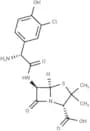 m-Chloro-amoxicillin