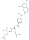 Methotrexate-α glutamate