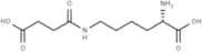 N6-Succinyllysine