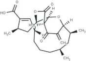 Okilactomycin