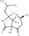 Rubrobramide