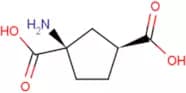 trans-ACPD