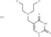 Thyminalkamine