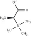 Trimethylalanine