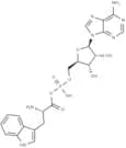 Tryptophyl adenylate