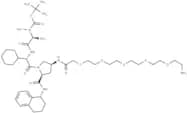 A 410099.1 amide-PEG5-amine
