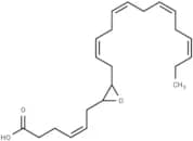 (±)7(8)-EpDPA