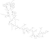 Cortistatin-29 (rat) (trifluoroacetate salt)