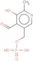Pyridoxal phosphate