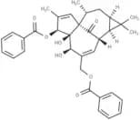 Ingenol 3,20-dibenzoate