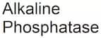 Alkaline Phosphatase