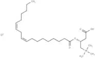 Linoleoyl-L-carnitine (chloride)