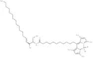 BODIPY-C12 Ceramide (d18:1/12:0)