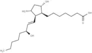 8-iso Prostaglandin F1α