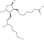 8-iso Prostaglandin F1β