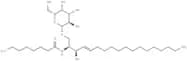 C8 Galactosylceramide (d18:1/8:0)