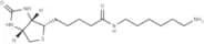 N-Biotinyl-1,6-hexanediaMine