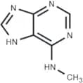 N6-Methyladenine