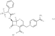 Cefsulodin (sodium salt hydrate)
