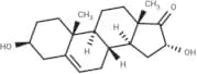 16α-hydroxy Dehydroepiandrosterone