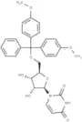 5'-O-DMT-rU