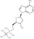 5'-O-TBDMS-dA