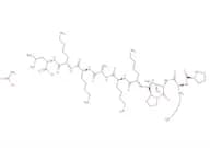 Cdk5 Substrate acetate