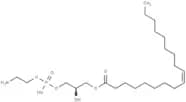 PE(18:1(9Z)/0:0)