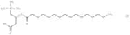 L-Palmitoylcarnitine chloride